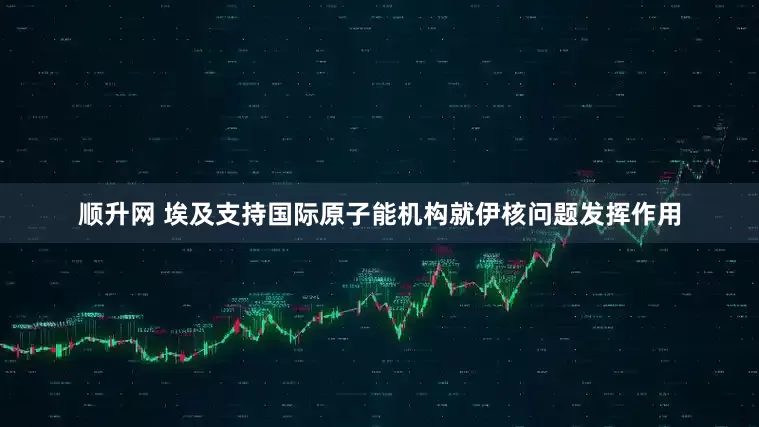 顺升网 埃及支持国际原子能机构就伊核问题发挥作用