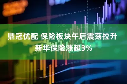 鼎冠优配 保险板块午后震荡拉升 新华保险涨超3%