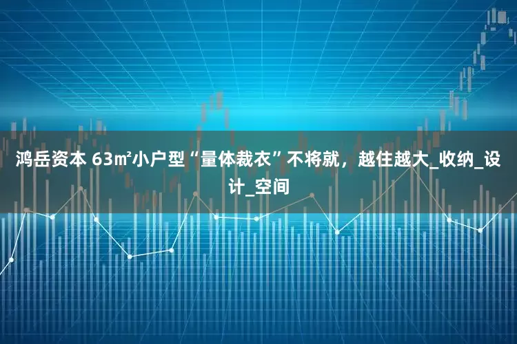 鸿岳资本 63㎡小户型“量体裁衣”不将就，越住越大_收纳_设计_空间