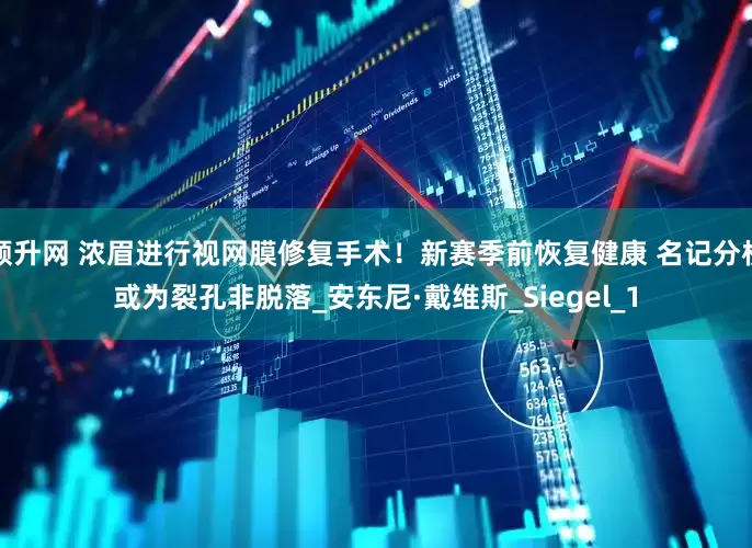 顺升网 浓眉进行视网膜修复手术！新赛季前恢复健康 名记分析或为裂孔非脱落_安东尼·戴维斯_Siegel_1