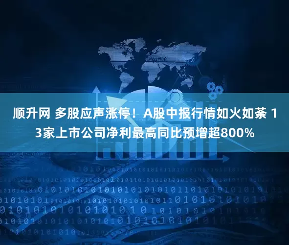 顺升网 多股应声涨停！A股中报行情如火如荼 13家上市公司净利最高同比预增超800%