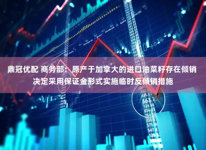 鼎冠优配 商务部：原产于加拿大的进口油菜籽存在倾销 决定采用保证金形式实施临时反倾销措施